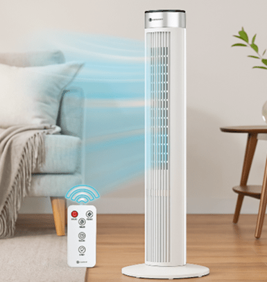  A Fan with Timer
